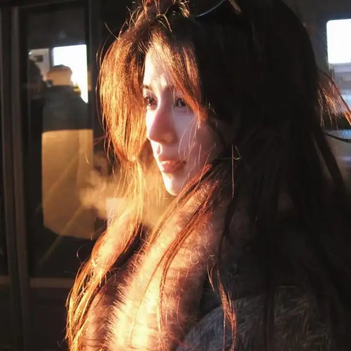 蝙蝠侠：高谭骑士